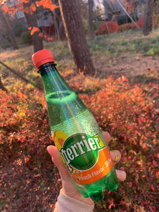 쭈시님이 올린 리뷰 사진 2
