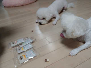 주블리님이 올린 리뷰 사진 1