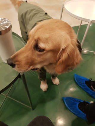 히야님이 올린 리뷰 사진 4