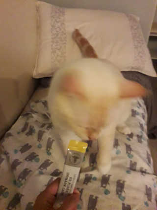 보라보라님이 올린 리뷰 사진 1