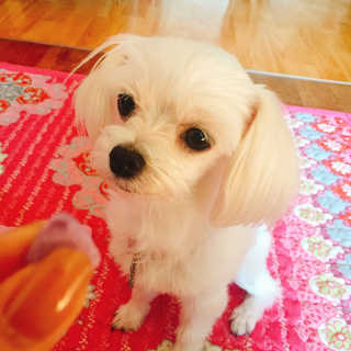 다인님이 올린 리뷰 사진 2