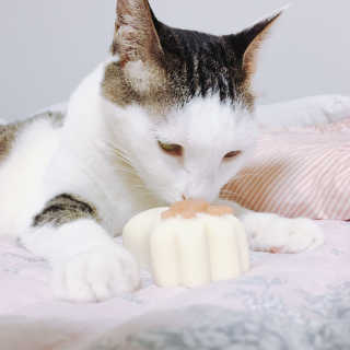 짤랑이님이 올린 리뷰 사진 1
