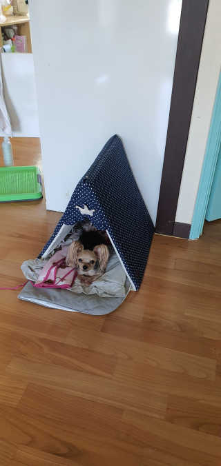 포포맘님이 올린 리뷰 사진 3
