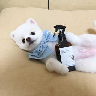 군팡쓰님이 올린 리뷰 사진 1