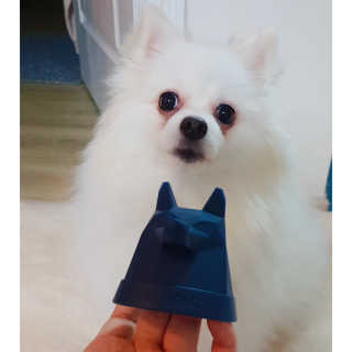 심쿵해에님이 올린 리뷰 사진 2