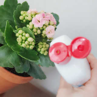빵점엄마님이 올린 리뷰 사진 2
