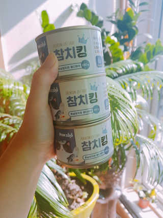 동원 참치킹 고양이 캔 12개입 — 4.5점을 준 리뷰어가 2018년 10월 올린 사용 사진