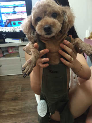 김하마님이 올린 리뷰 사진 3