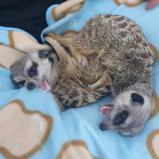 율집사님이 올린 리뷰 사진 3