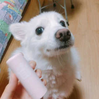 박선민님이 올린 리뷰 사진 1