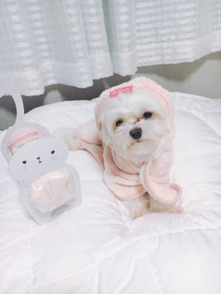 콩순이엄마님이 올린 리뷰 사진 2