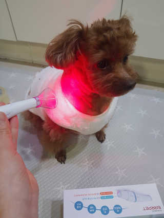 희야님이 올린 리뷰 사진 1