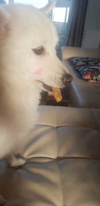 또봉봉님이 올린 리뷰 사진 3
