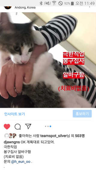 펫토리아 이중밀폐 고양이분변통 리터락커2 본품 — 4점을 준 리뷰어가 2018년 12월 올린 사용 사진
