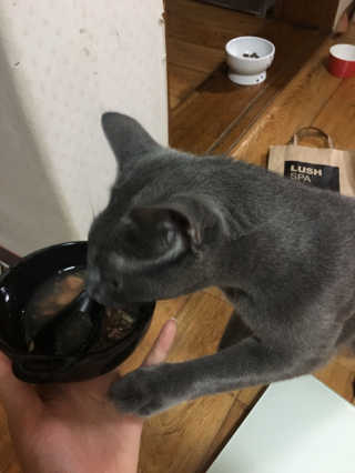 꽃길만걷자탄아님이 올린 리뷰 사진 2