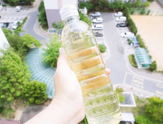 레몬코코님이 올린 리뷰 사진 1