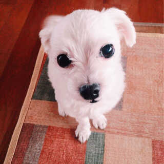 짱아님이 올린 리뷰 사진 2