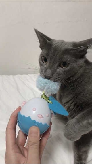 효성님이 올린 리뷰 사진 3