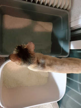 해롱님이 올린 리뷰 사진 3
