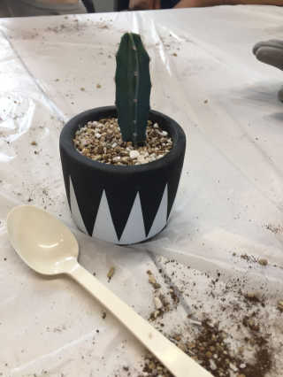 린찡꿍님이 올린 리뷰 사진 3