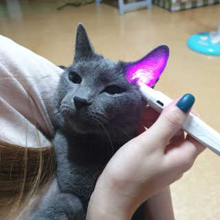 율집사님이 올린 리뷰 사진 1