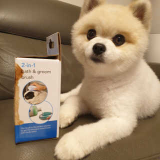 박잉님이 올린 리뷰 사진 2