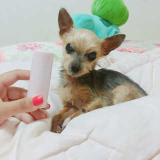 성유진님이 올린 리뷰 사진 1