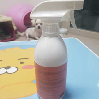 진진님이 올린 리뷰 사진 2
