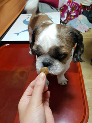 김예원님이 올린 리뷰 사진 2