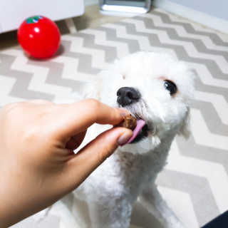 주여니이님이 올린 리뷰 사진 4