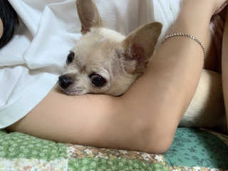 니니님이 올린 리뷰 사진 3