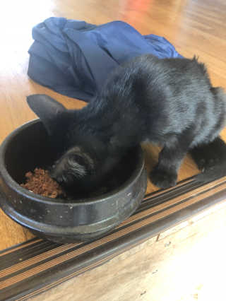 햄쓰님이 올린 리뷰 사진 3