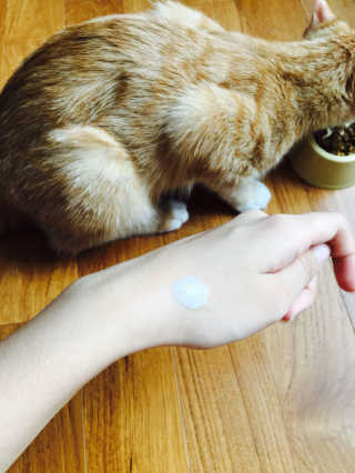 황은지님이 올린 리뷰 사진 4