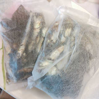 메이블님이 올린 리뷰 사진 2