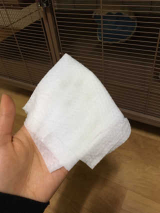 Jisilver님이 올린 리뷰 사진 4