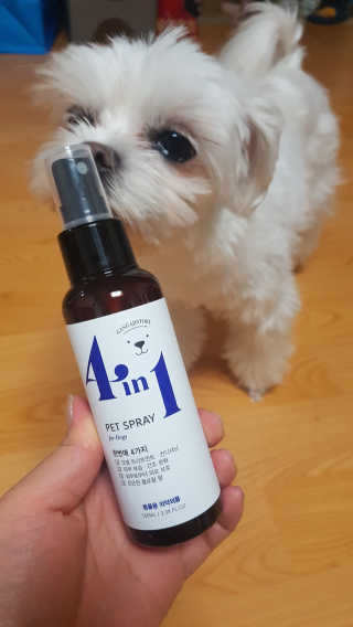 강아지스토리 포인원 모이스처 미스트 100ml — 4.5점을 준 리뷰어가 2018년 10월 올린 사용 사진