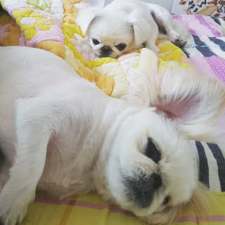 꽃당님이 올린 리뷰 사진 3