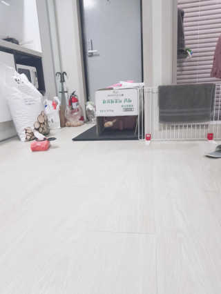 [펫토리아]한삽뚝딱 고양이모래 우드펠렛 흡수형 베딩 — 4점을 준 리뷰어가 2019년 6월 올린 사용 사진