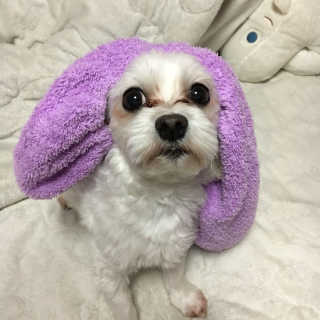 한주희님이 올린 리뷰 사진 1