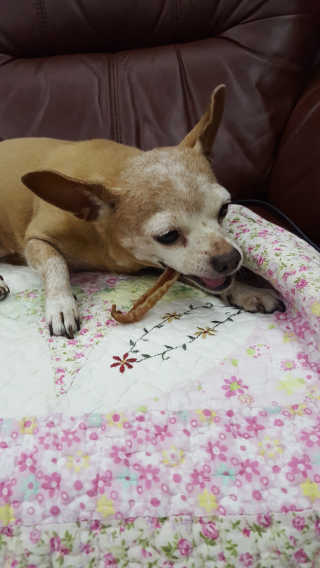 유진오님이 올린 리뷰 사진 3