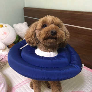 은치치님이 올린 리뷰 사진 4