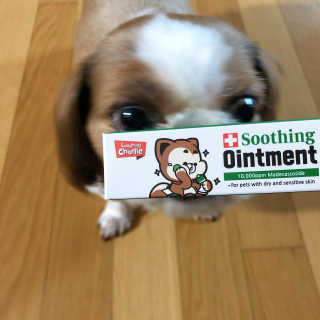 조아조아님이 올린 리뷰 사진 2
