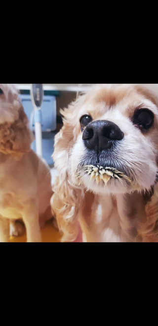 조소민님이 올린 리뷰 사진 1