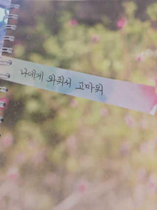 Hola님이 올린 리뷰 사진 1