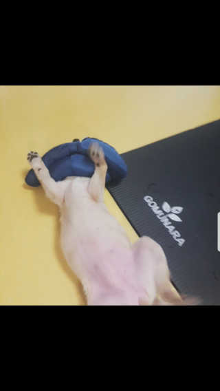 sayee1124님이 올린 리뷰 사진 1