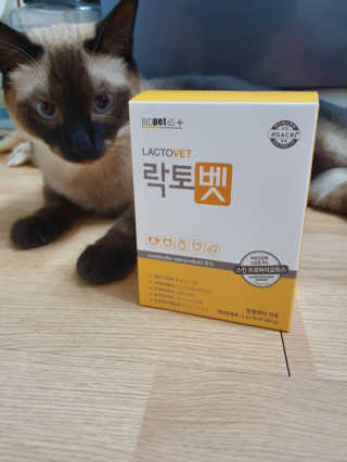 유산균하우스 [프로바이오닉]락토벳 — 5점을 준 리뷰어가 2019년 7월 올린 사용 사진