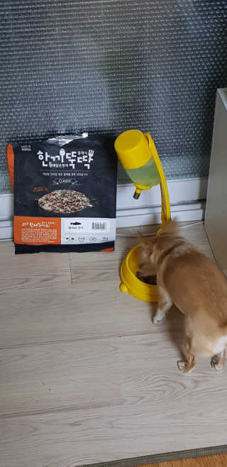 안은영님이 올린 리뷰 사진 2