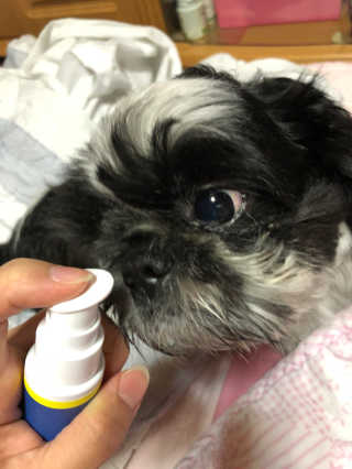 티케님이 올린 리뷰 사진 3