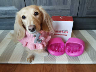 5_daks님이 올린 리뷰 사진 3