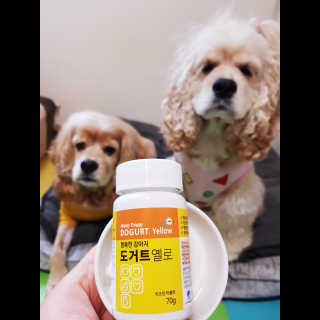콜보리님이 올린 리뷰 사진 1